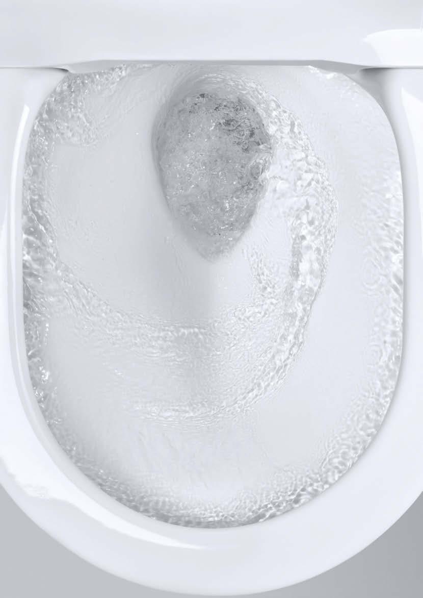 GROHE PowerFlush grohe.