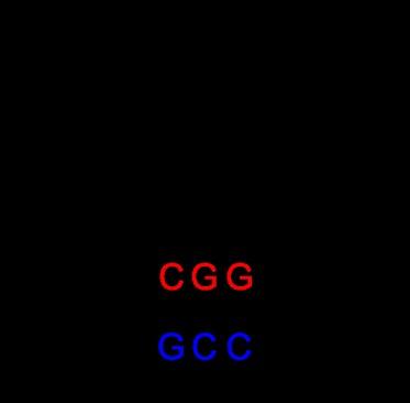 propansyra D) propen 10) (1p) Följande molekyl som kallas sorbitol har framställts utav glukos genom: A) oxidationsreaktion B) neutralisationreaktion C) hydrolysreaktion D)