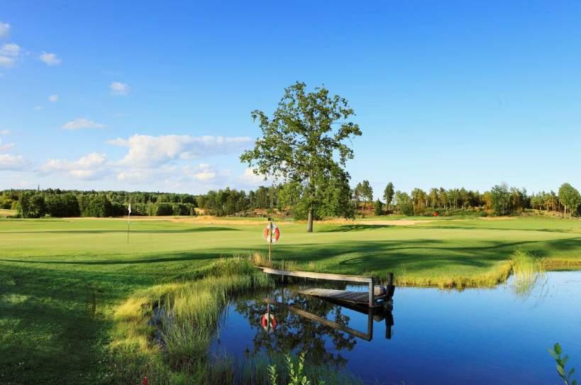 Distriktsmästerskap DM för ålderskategorier spelades på Husby Österhaninge Golf.