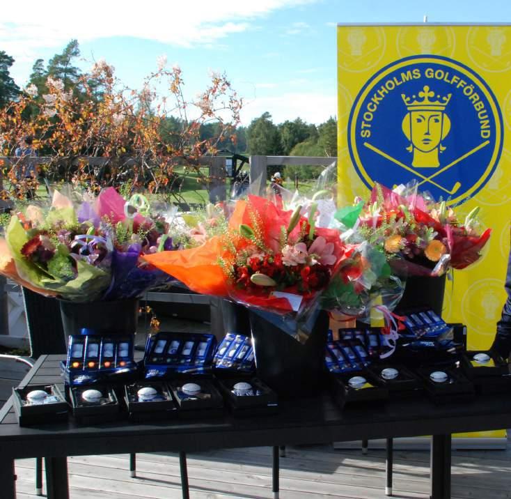 SEKTION TÄVLING TÄVLINGSKOMMITTÉN Nadja Vigert Åkersberga GK/Tyresö Golf Ordförande Christina Sturesson Tyresö Golf Seriespel Damer Bengt Norén Wäsby GK Seriespel Herrar Tävlingskommittén ansvarar