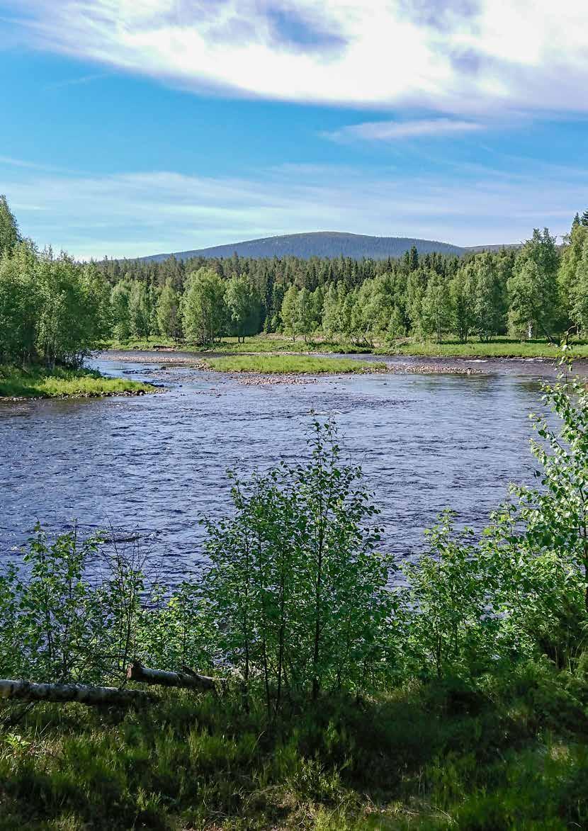 BAKGRUND, SYFTE