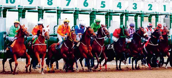 ÅTERSTÅENDE TÄVLINGSDAGAR 0 Datum Tors okt Sön okt Ons okt Sön nov Ons nov Ons 9 nov Ons dec Första start Tävlingsdagstyp Kl.00 V Scand Arab Derby Kl. V SFK:s Jubileumslöpn Kl.0 V LunchGalopp Kl.