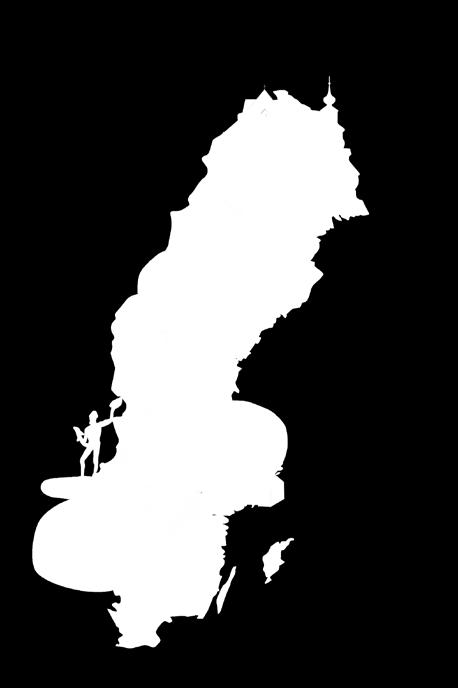 livsvillkor i Sverige 5