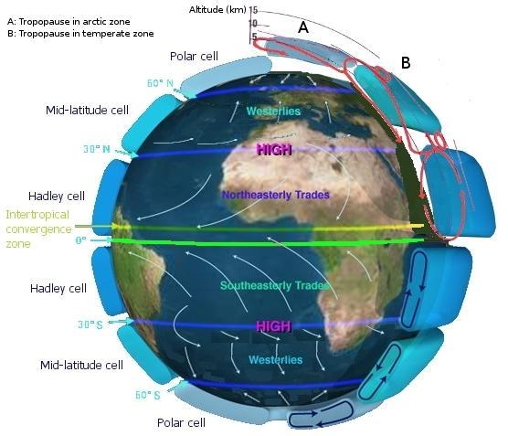 Cirkulationsceller Sverige: 55-69,3 Hadleycell Ferrelcell Polarcell Polarfronten Subtropiska högtrycksområdet