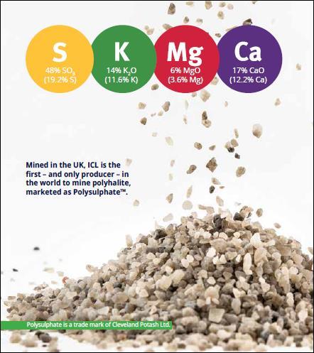 Polysulphate TM K 11,6 % Mg 3,6 % Ca 12,2 % S 19,2 %