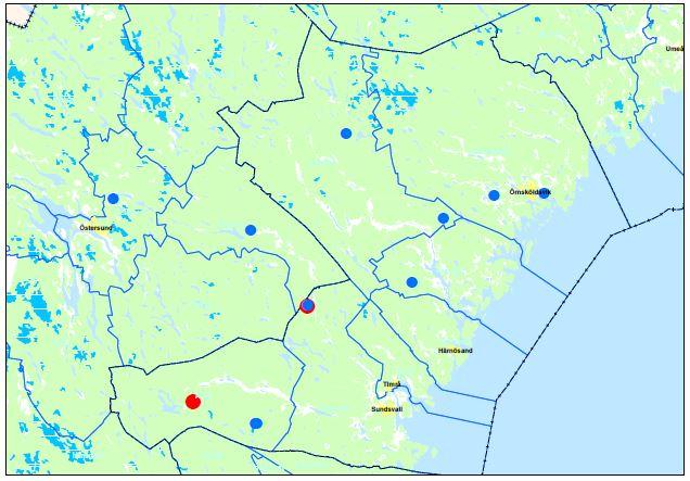 Figur 2. Färska angrepp av barkborrar på stående växande gran i äldre gallrings- och slutavverkningsmogen granskog. Västernorrlands län samt Bräcke, Ragunda och Östersund kommun i Jämtlands län 2016.