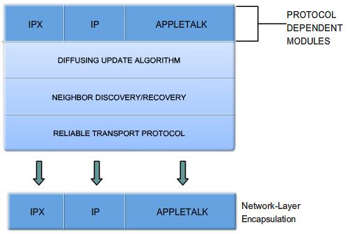 Reliable Transport Protocol - RTP EIGRP var utformad som ett oberoende nätverksskikt routingprotokoll, och därför kan EIGRP inte använda UDP eller TCP.
