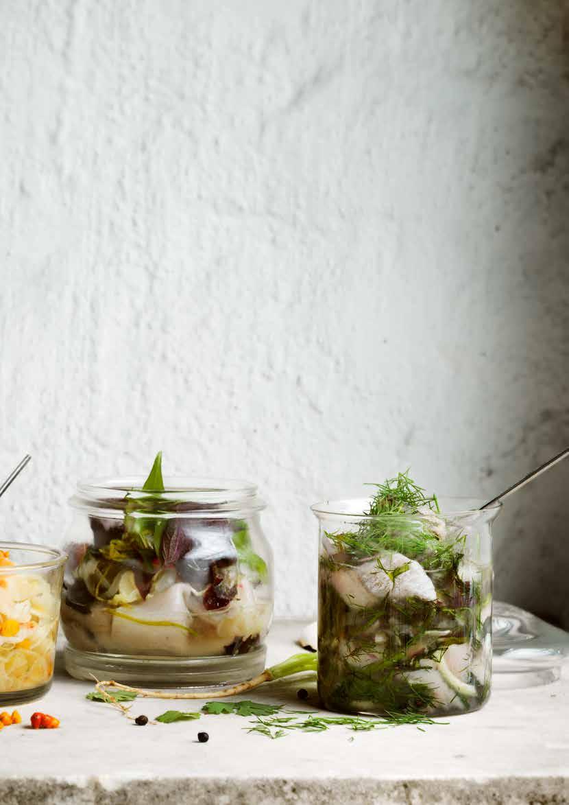 LÖKSILL klara inläggningar 1 liter ½-3-3 lag 2 gula lökar, skalade och skivade 2 rödlökar, skalade och skivade 8 vitpepparkorn 5 svartpepparkorn 3 lagerblad Koka ihop lagen tills sockret löst sig.