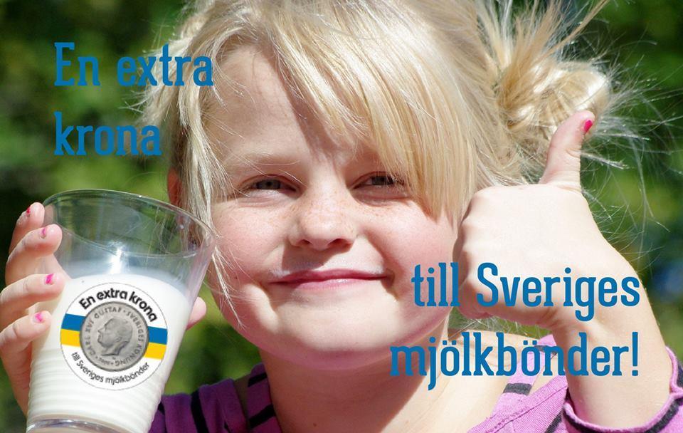 Lisakroon Rootsi piimatootjale Olen laitmatu enda
