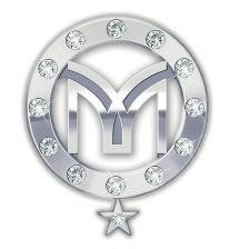 PLATINUM PRESIDEN T IA L DIRECT OR 15 Platinum