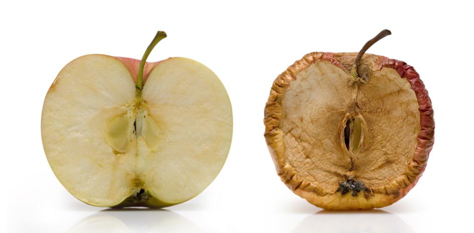 Vad är oxidativ stress? Människokroppens vävnader, celler och molekyler utsätts för ett ständigt kemiskt slitage som kallas oxidativ stress.