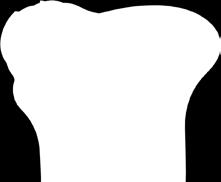Förbered en av de godkända rengöringslösningarna i Tabell 9 enlighet med lösningstillverkarens anvisningar. 10.