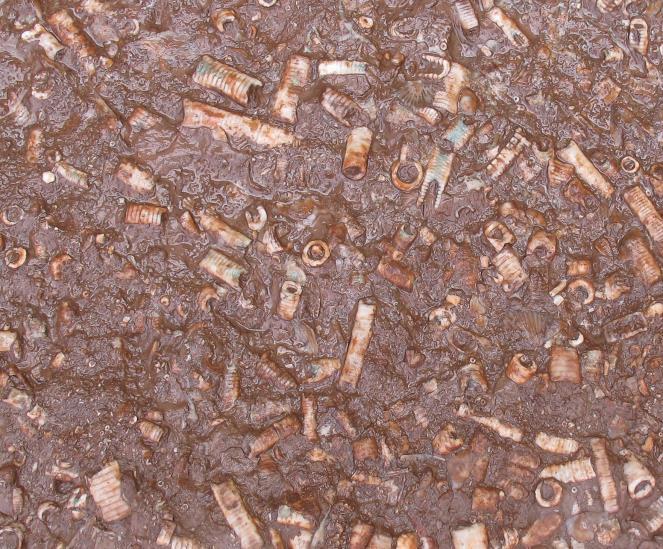 Osmundsbergs kalkbrott. Norr om Boda ligger detta kalkbrott som fortfarande är i drift och därmed industriområde. Man bör därför fråga om lov innan man besöker platsen.