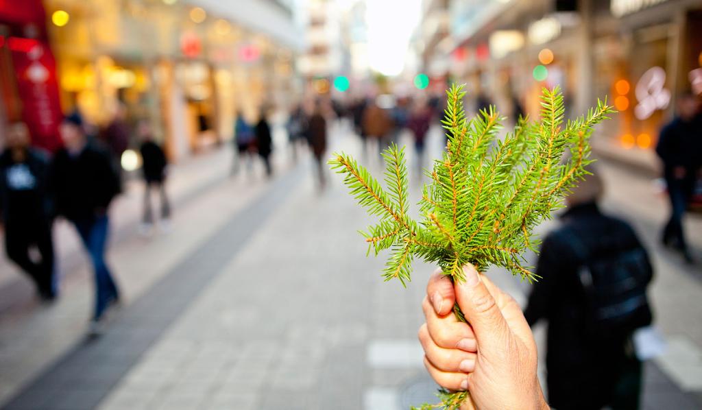 10 2 Skogsnäringens vision och mål Skogsnäringen driver tillväxt i världens bioekonomi viiị Denna vision, som antogs 2015, utgår från en nödvändig omställning av samhället till en biobaserad