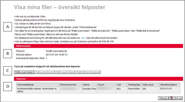 Överblick över felposterna: Under Översikt felposter ser du felposterna och det är härifrån som du rättar dem. A B C D A.