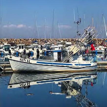 Foto: Elisabeth Wikenhed Välkommen till sommar-simrishamn!
