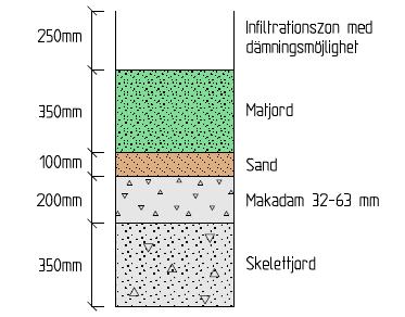 Fördröjning sker genom att en del av dagvattnet avdunstar, dels på dess väg mot anläggningen och dels från träden lövverk.