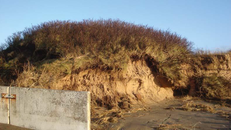 12 Vid Kolonivägen i Mellbystrand har en omfattande erosion skett kring fortet. Den stora erosionen är en samverkan mellan fortet, dagvattenutloppet och vägen.