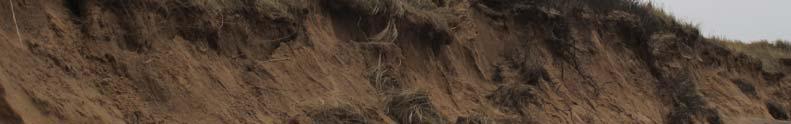 Projektets mål med en öppen strandhed, ökad biologisk mångfald, ökad tillgänglighet och en öppen landskapsbild har till stora delar infriats.