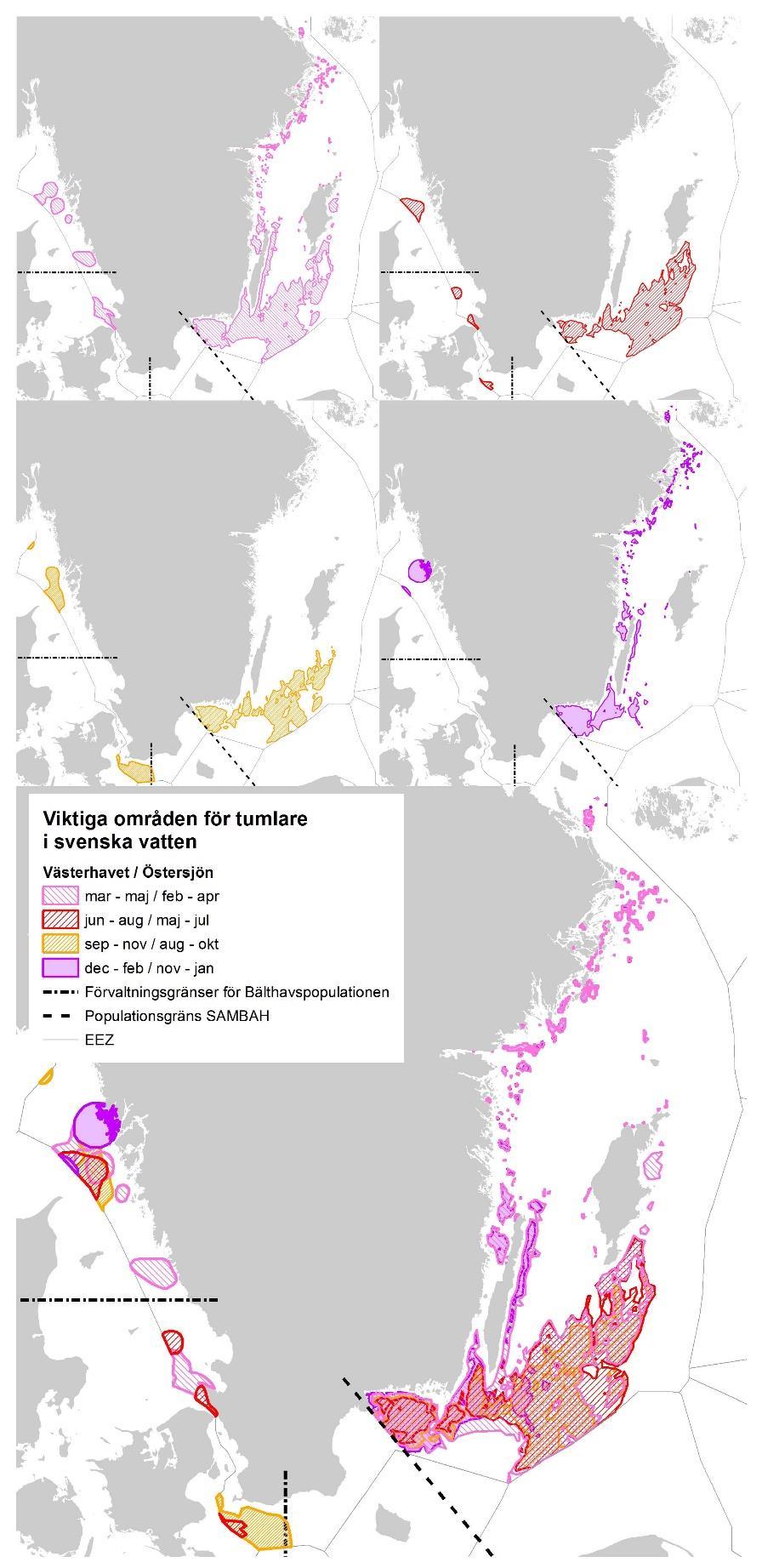 Skyddsvärda områden för tumlare i svenska vatten Figur 1. Viktiga områden för tumlare i svenska vatten per kvartal samt helår.