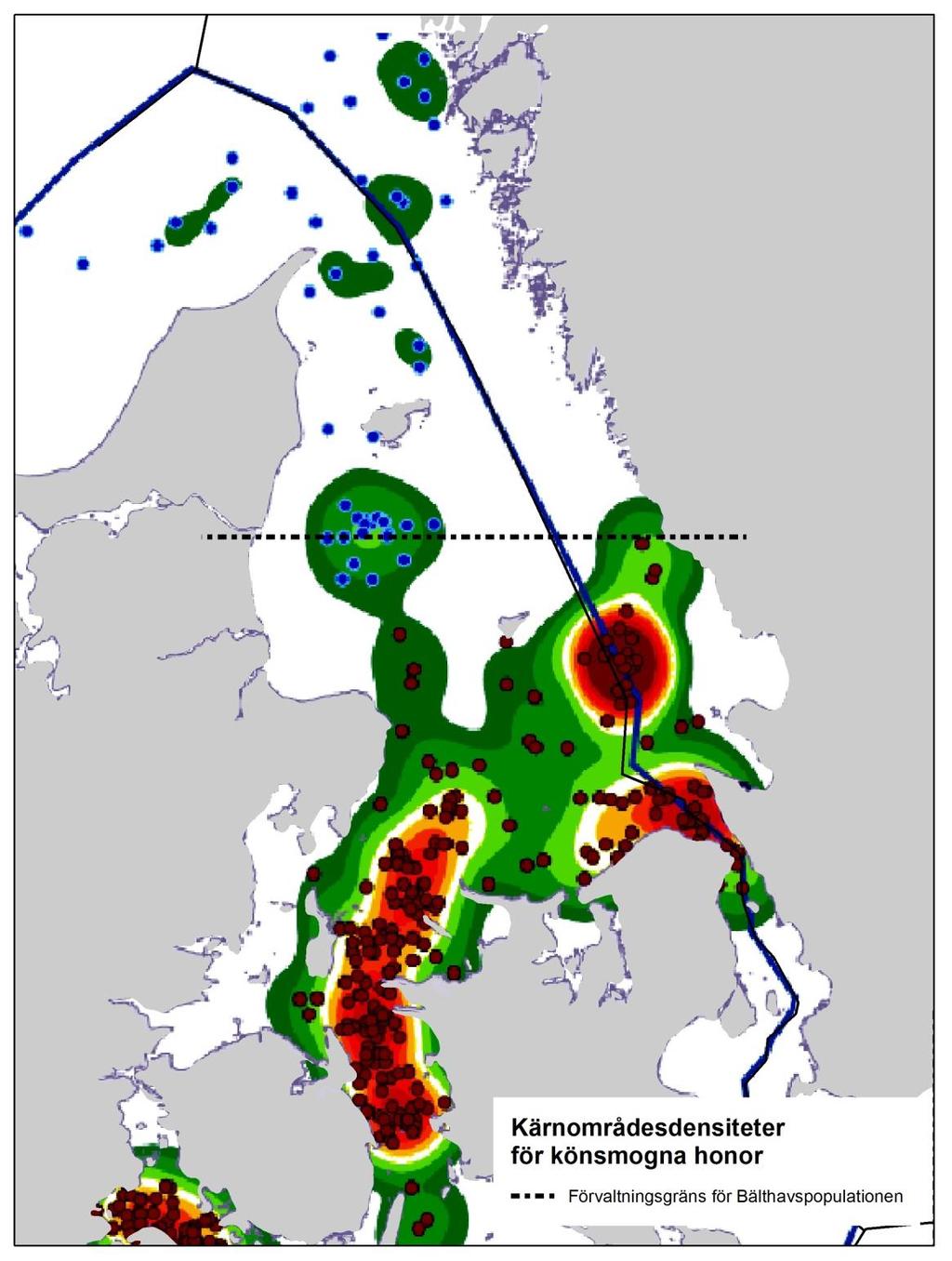 Skyddsvärda områden för tumlare i svenska vatten och bottenkomplexitet.