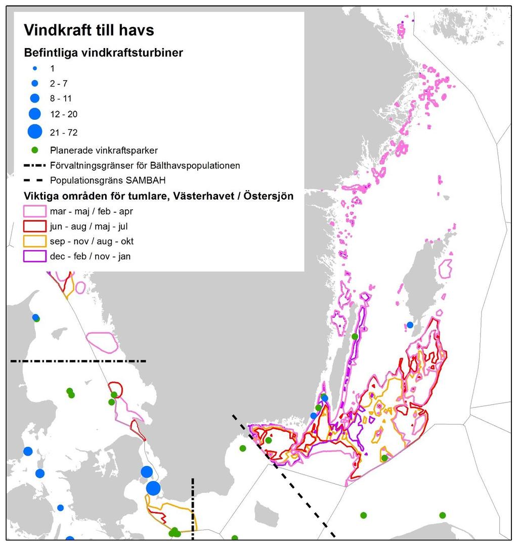 Skyddsvärda områden för tumlare i svenska vatten Figur 6. Befintliga och planerade marina vindkraftsparker.