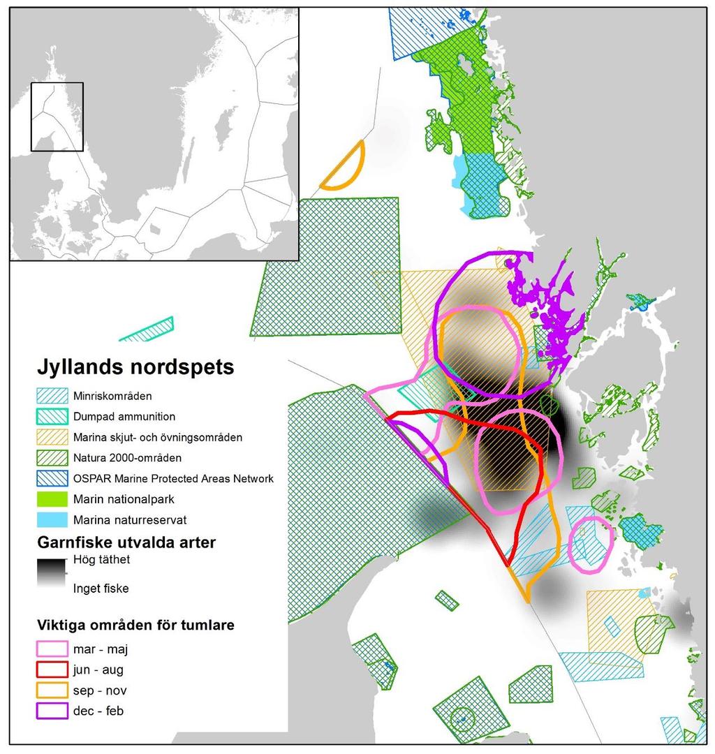 AquaBiota Report 2016:04 tumlare inte är upptagen på artlistan. På den danska sidan gränsar området med ett Natura 2000-område (DK00FX112 Skagens Gren og Skagerrak) där tumlare finns med på artlistan.