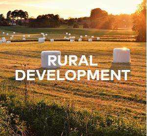 Innehåll Sammanfattning & Summary in English Uppdragets sammanhang, syfte och metodik Finansiellt genomförande Lantbrukets utveckling Tematisk fördjupning: