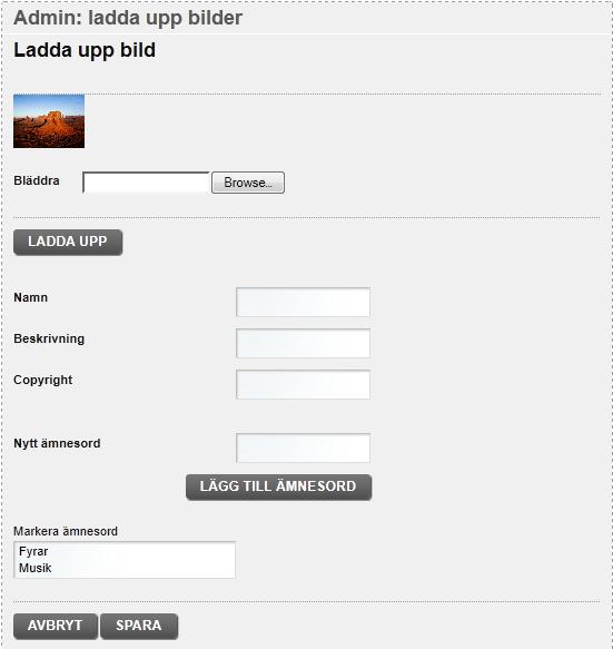 Ange ett namn (i det översta fältet) och eventuellt en beskrivning för bilden. Eventuella uppgifter om copyright kan också läggas in här.