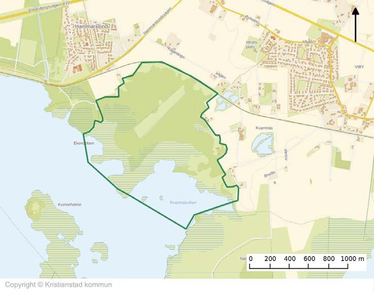 80 - Betesdriften bör ske så att all vegetation är väl avbetad vid