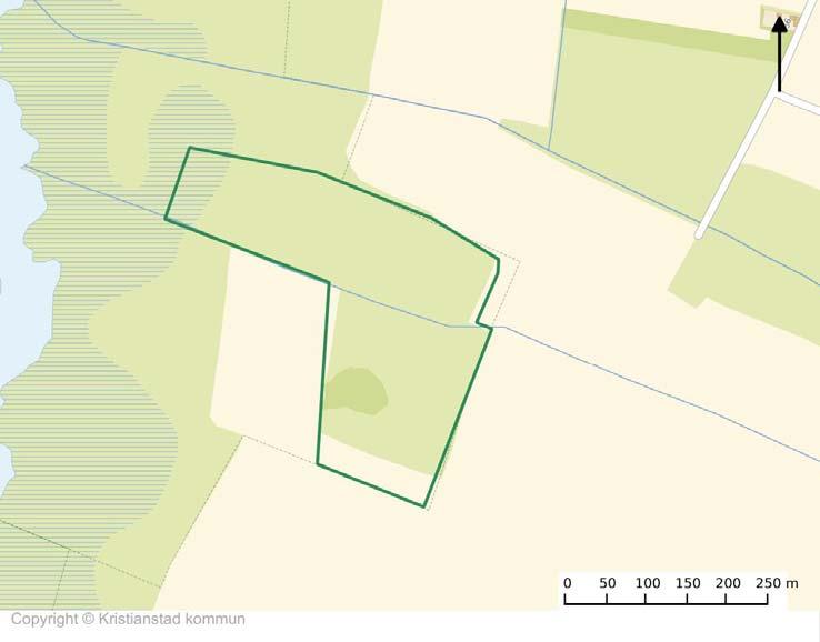 82 - Träd och buskar av igenväxningskaraktär ska inte förekomma. - Vidare info se skötselplan för naturreservatet Rinkaby och Horna ängar.