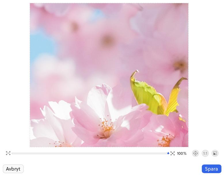 Bildbeskärning En uppladdad bild kan beskäras direkt i PLAYipp Manager. De verktyg du kan använda är:. Zoom: Zooma in och ut genom att dra reglaget åt höger och vänster.