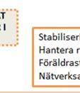 bemästrandestrategier,