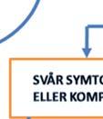 är de mest allvarliga.