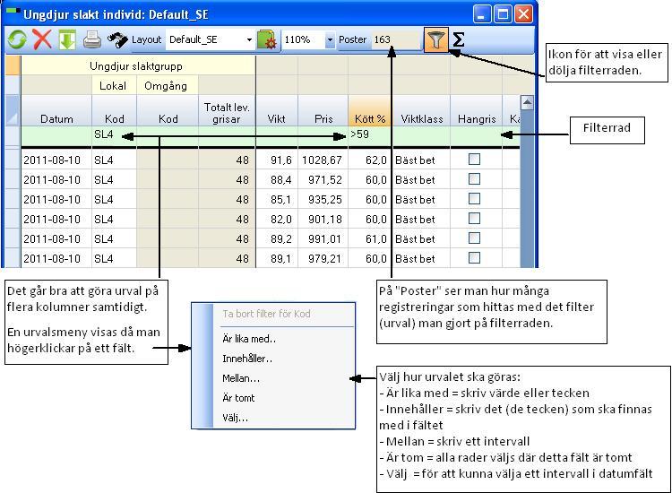 Sida 2 av 17 Generella funktioner Filter (sökfunktion) Filterraden används till att sortera inlagda registreringar.
