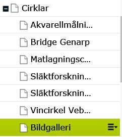 Vid skapandet av ny Bildgallerisida gavs den namnet: Bildgalleri. I Rubrikrutan gavs namnet: Skapa Bildgalleri.