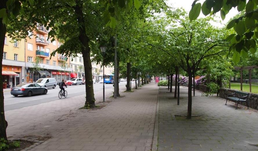 Gångstråk Området inrymmer ett flertal gångstråk.