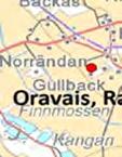 Den enda  rovfågeln i