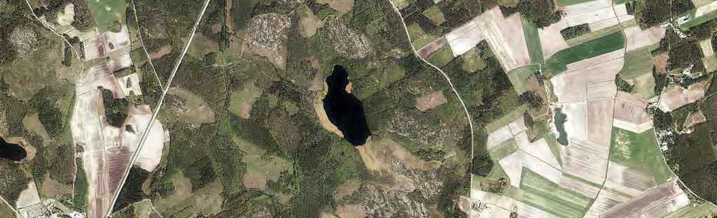 SVEVIND OY AB SANDBACKA VINDKRAFTSPARK 178 (224) 22.2.2 Fladdermus Förekomsten av fladdermöss i projektområdet utreddes under 18.7.2012 