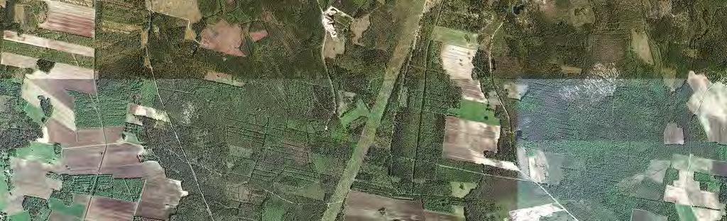 Unga och tätbevuxna skogar lämnades utanför karteringen, eftersom deras betydelse för lokala fladdermöss som jakt- och fortplantningsområden är marginell.