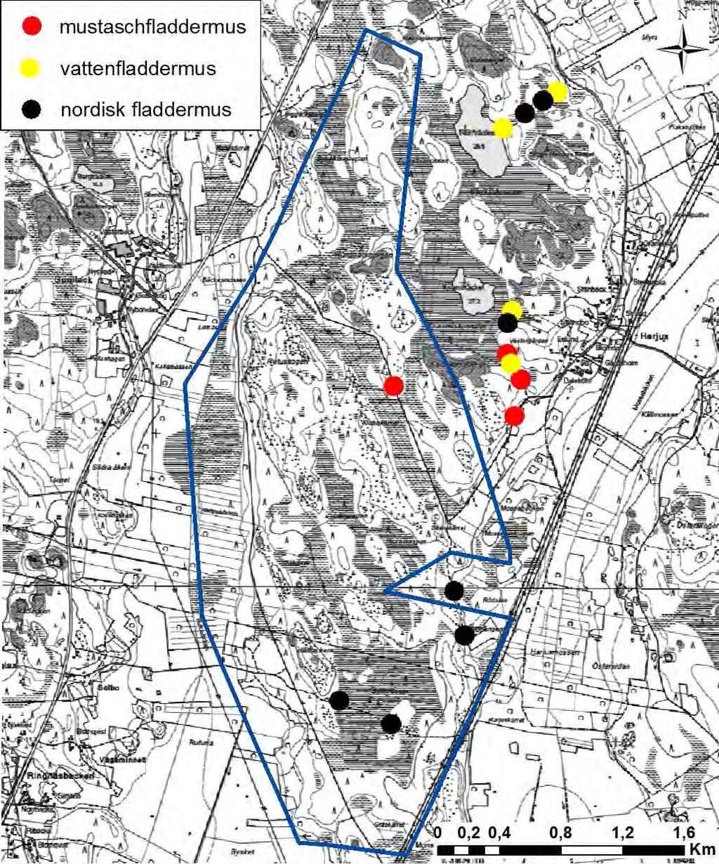 SVEVIND OY AB SANDBACKA VINDKRAFTSPARK 183 (224) Figur 22-3. Fladdermusobservationer på Sandbacka projektområde.