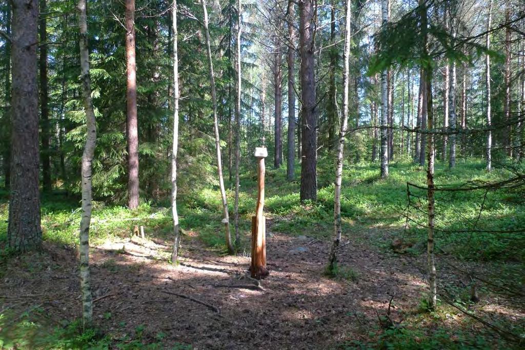 SVEVIND OY AB SANDBACKA VINDKRAFTSPARK 186 (224) Man kan utgå ifrån att djurarterna i området redan i någon mån har anpassat sig till de förändringar i livsmiljön som härrör från skogsbruket.