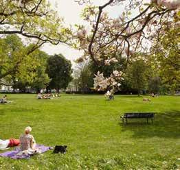 Områdespark Projektområdet saknar i nuläget en områdespark, det vill säga en park på minst 5 hektar inom 500 meters gångavstånd från bostaden.