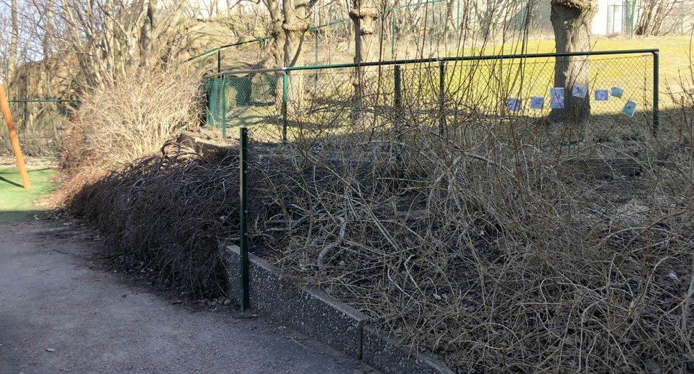 Dessa är dock otillgängliga på grund av ett avskiljande staket. Öster om den runda sandlådan finns en slingrande gång genom gräsmattan som leder till en sittyta med bänkar (se figur 27).