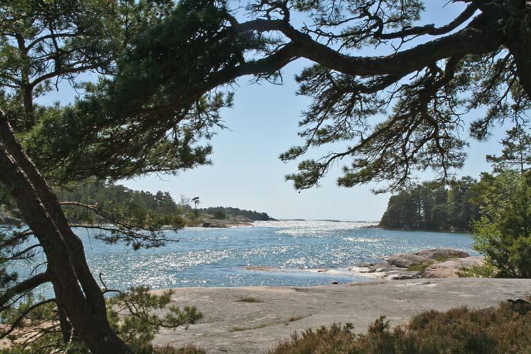 Miljö och väder Statistisk årsbok 2009 11 Skyddad natur Protected nature Totalt omfattade skyddsformerna nationalpark, naturreservat, naturvårdsområde och djur- och växtskyddsområde 5 miljoner hektar