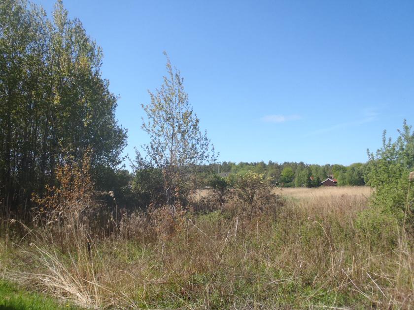 Förutsättningar Natur, landskapsbild och rekreation Förstudieområdet består främst av öppen, kraftigt igenvuxen jordbruksmark.