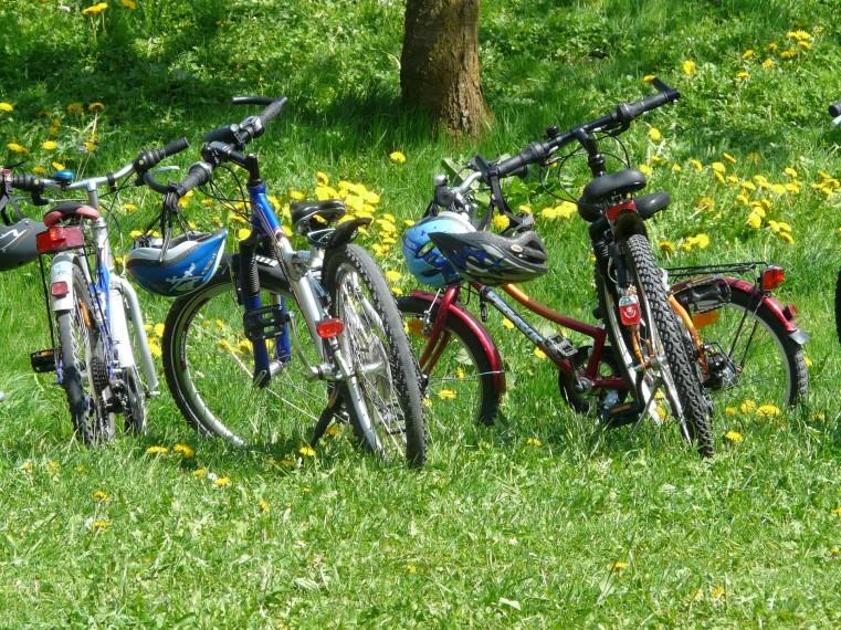 Det handlar om produkter som spannma l och tra ra varor, klimatreglering och rening av luft och vatten, biologisk ma ngfald och na ringscykler, men a ven upplevelseva rden Idrotts och