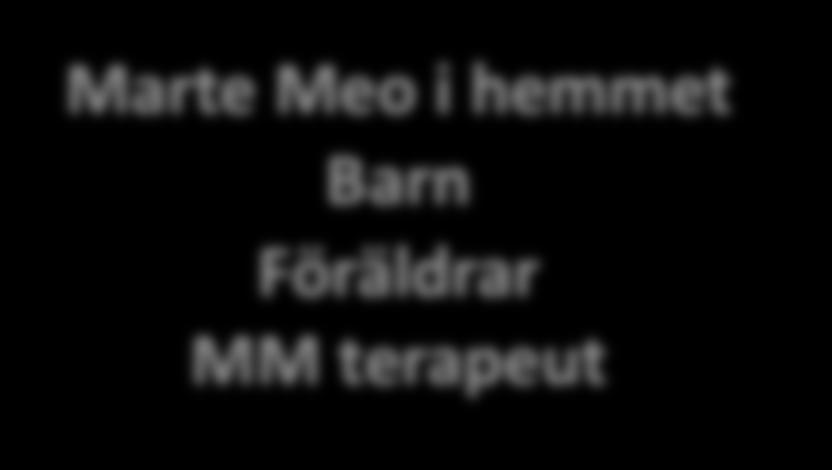 Marte Meo och Samordningssamtal