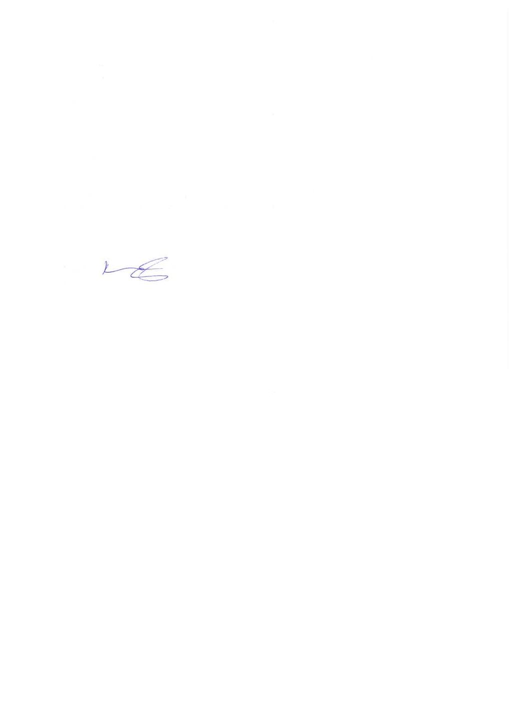13, SMH17 23.1.2019 17:00 / Pykälän liite: