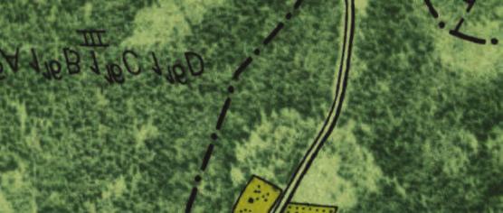 Denna norra del av lämningen framstår till största del bestå av äldre odlingsmark med enstaka mindre områden med yngre lyckor.